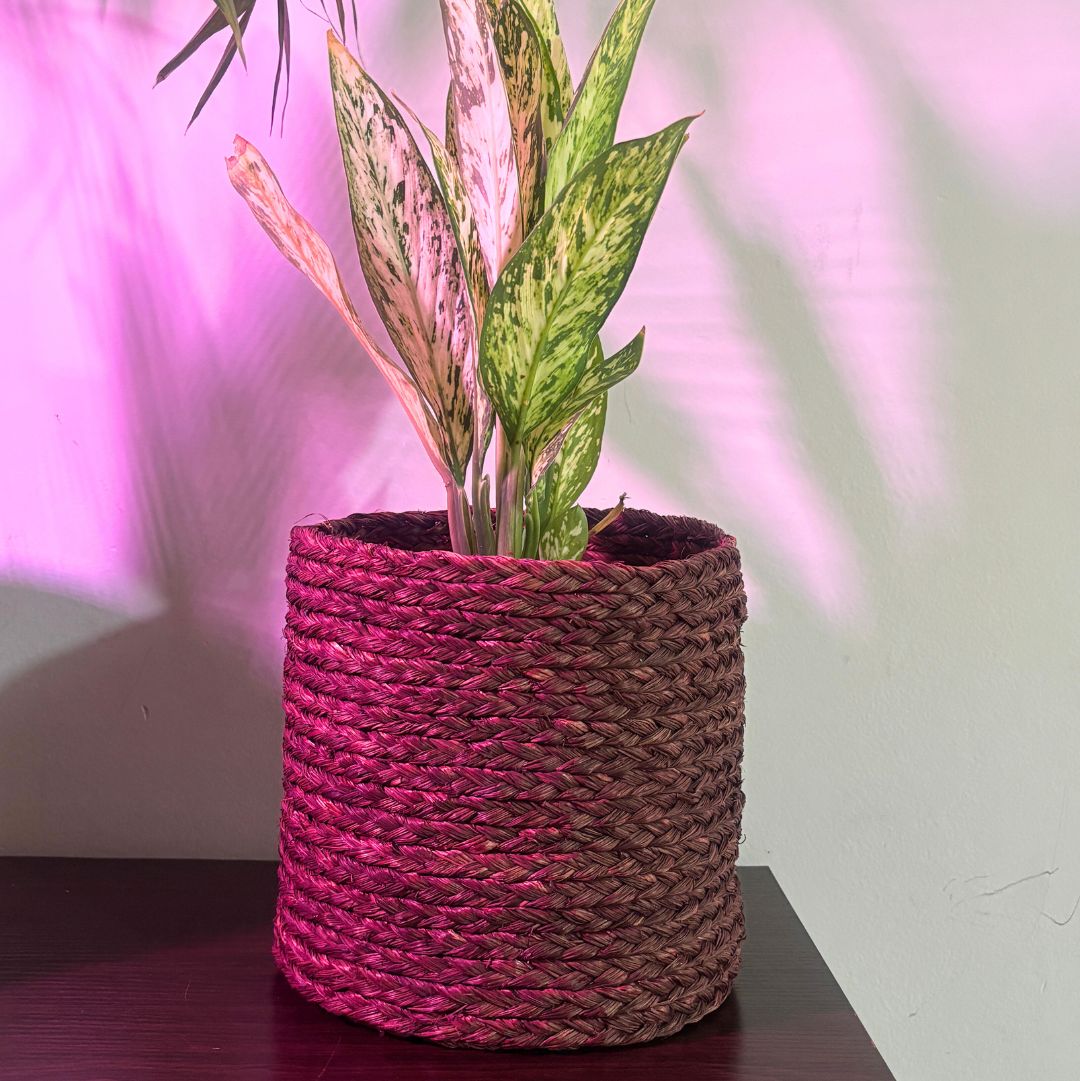 Sabai Bronze Grass Planter