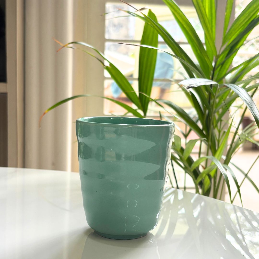 Tumbler Set of 2
