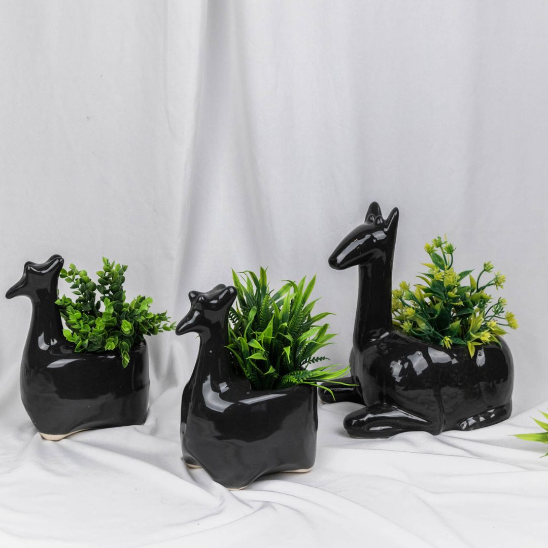 Black Camel Planter Set of 3