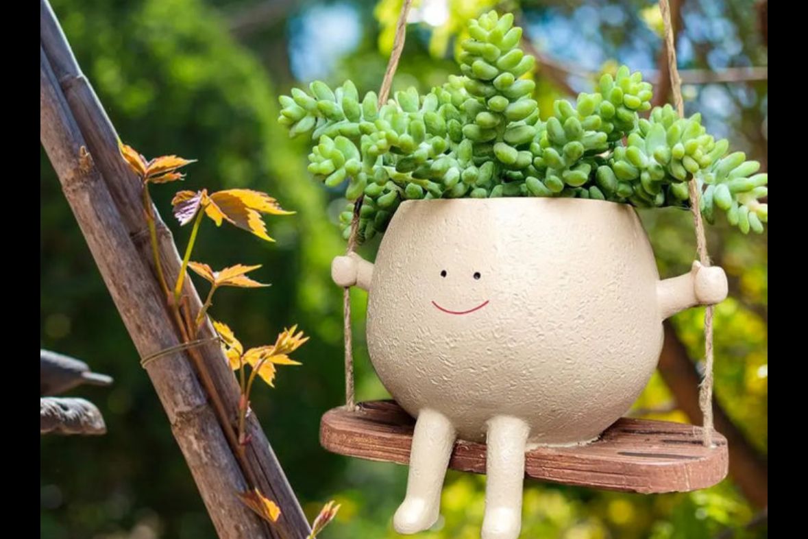 Planter pot
Planter
Modern Ceramic Planter
Handmade Ceramic Planter
Glazed Ceramic Planter
Flower Planter
Decorative Ceramic Planter
Garden Decoration