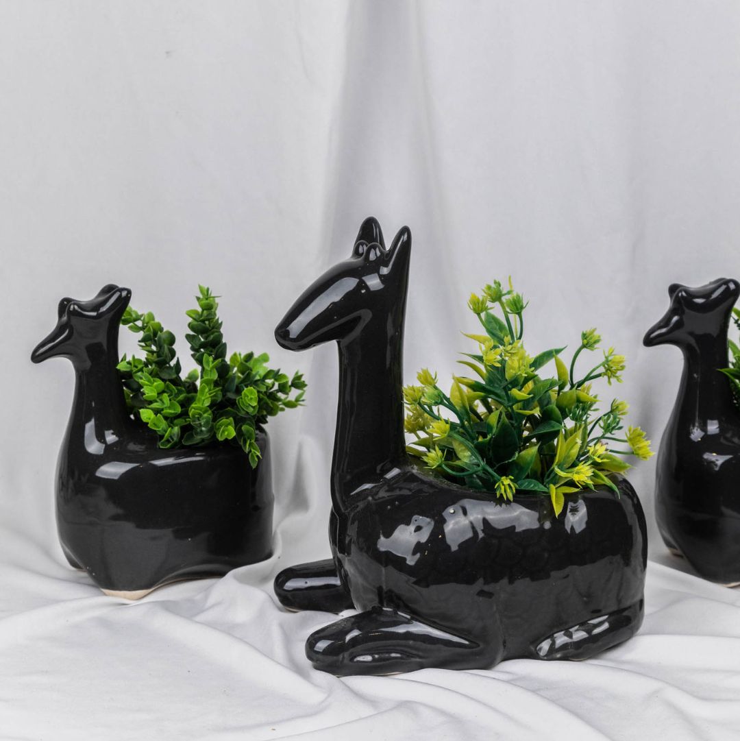 Black Camel Planter Set of 3
