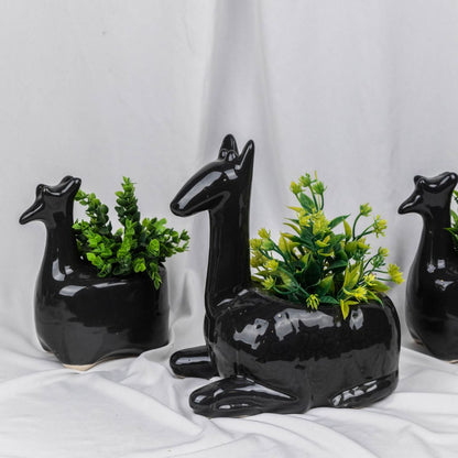 Black Camel Planter Set of 3