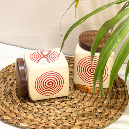 Coil Multipurpose Airtight Jar