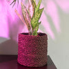 GRASS PLANTER