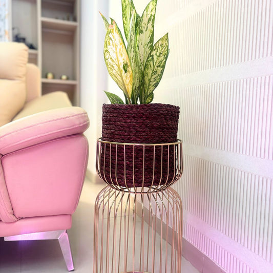 Sabai Bronze Grass Planter
