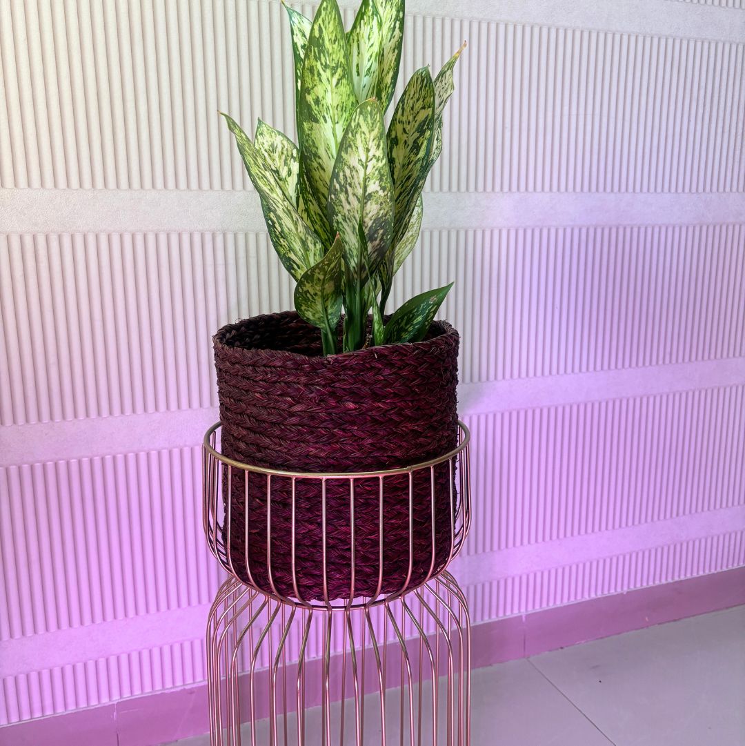 Sabai Bronze Grass Planter