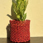 Sabai Red Grass Planter