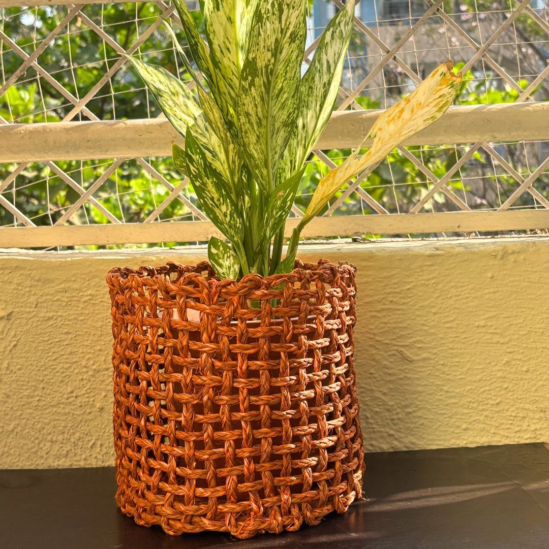 Sabai Orange Grass Planter