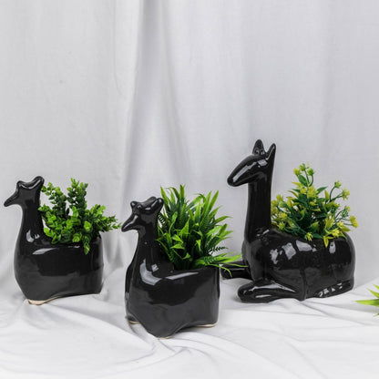 Black Camel Planter Set of 3