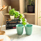Stylish Persian Green Tumbler Set of 2