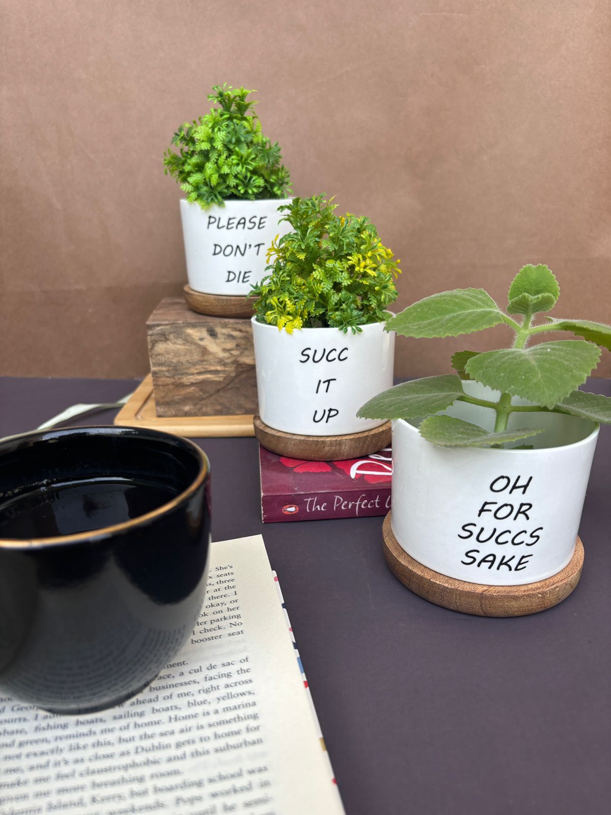 Planter
Planter pot
Modern Ceramic Planter
Handmade Ceramic Planter
Glazed Ceramic Planter
Flower Planter
Decorative Ceramic Planter
Garden Decoration
