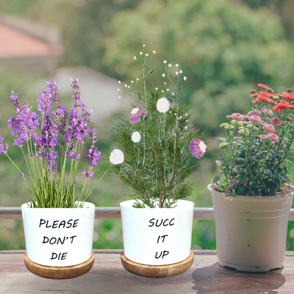 Sassy Succulent Planter/Pot with Wooden Plate
